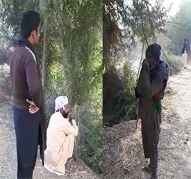 گھوٽڪي ۾ وڻن جي واڍي ڪئي پي وڃي